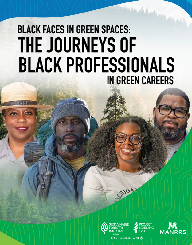 Journeys of Black Professionals Cover