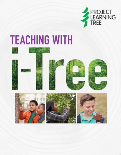 iTree Cover
