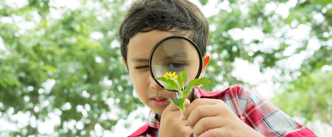 Boy with a magnifying glass examining a flower