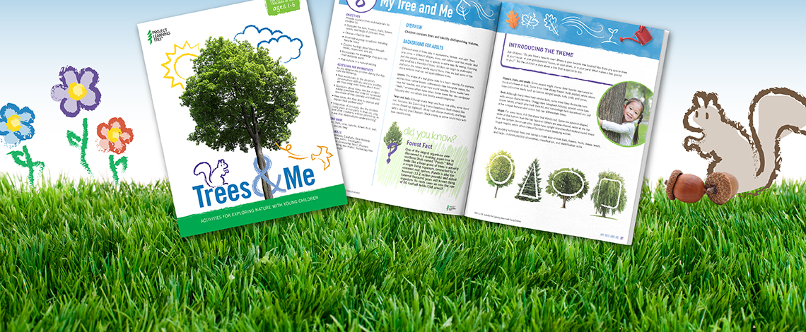 Activities for exploring nature with young children